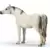 Horse Club - Jument arabe