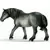 Jument Percheron
