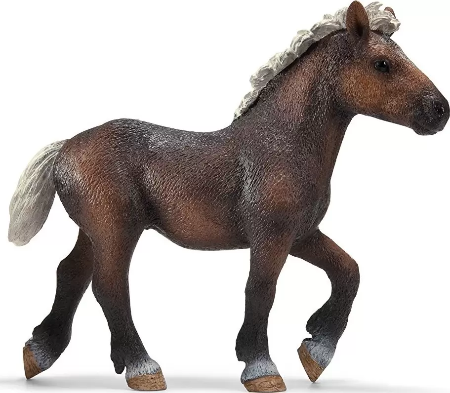 Horse Club - Poulain Forêt Noire