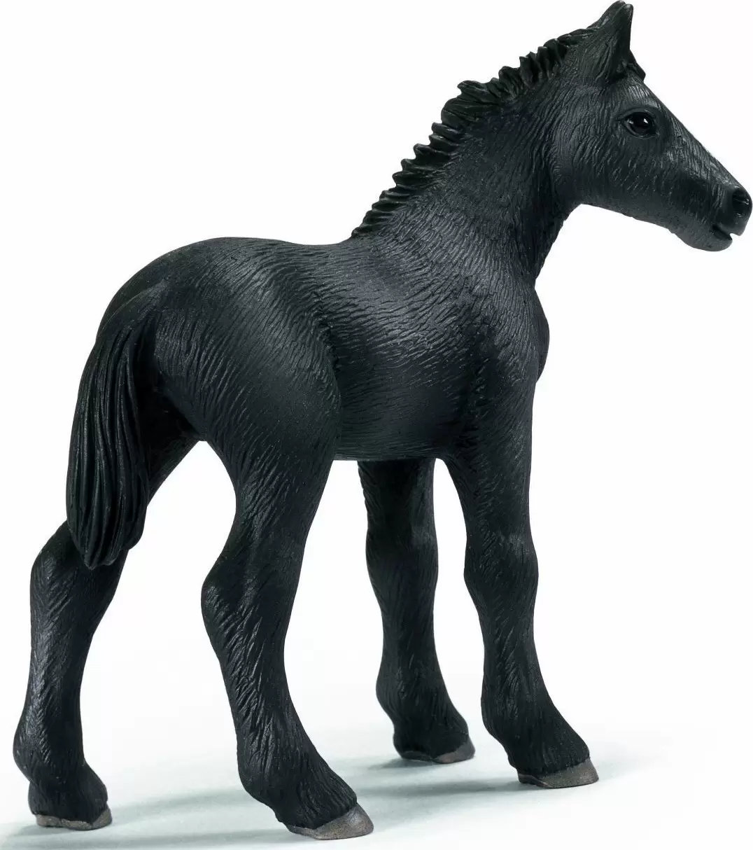 Horse Club - Poulain Percheron