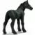 Horse Club - Poulain Percheron
