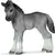 Poulain Poney Fell