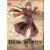 Tome 1