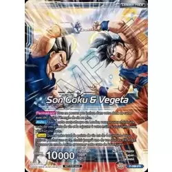 Son Goku & Vegeta // Gogeta, frappe miraculeuse