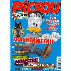 Picsou Magazine N°485
