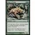 Duel : Ajani Vs Nicol Bolas - Bande de lions