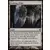 Duel : Ajani Vs Nicol Bolas - Étendues sauvages en évolution
