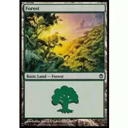 Forêt