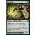 Mage du jade