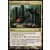 Duel : Ajani Vs Nicol Bolas - Nécropole croulante