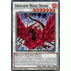Dragon Rose Noire