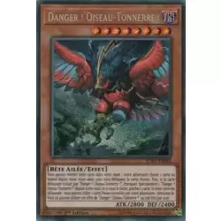 Danger ! Oiseau-Tonnerre !