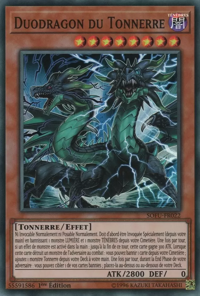 Fusion de l\'âme SOFU - Duodragon du Tonnerre