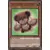 Fusion de l\'âme SOFU - Patchwork Peluchimal