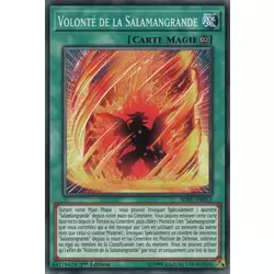 Volonté de la Salamangrande