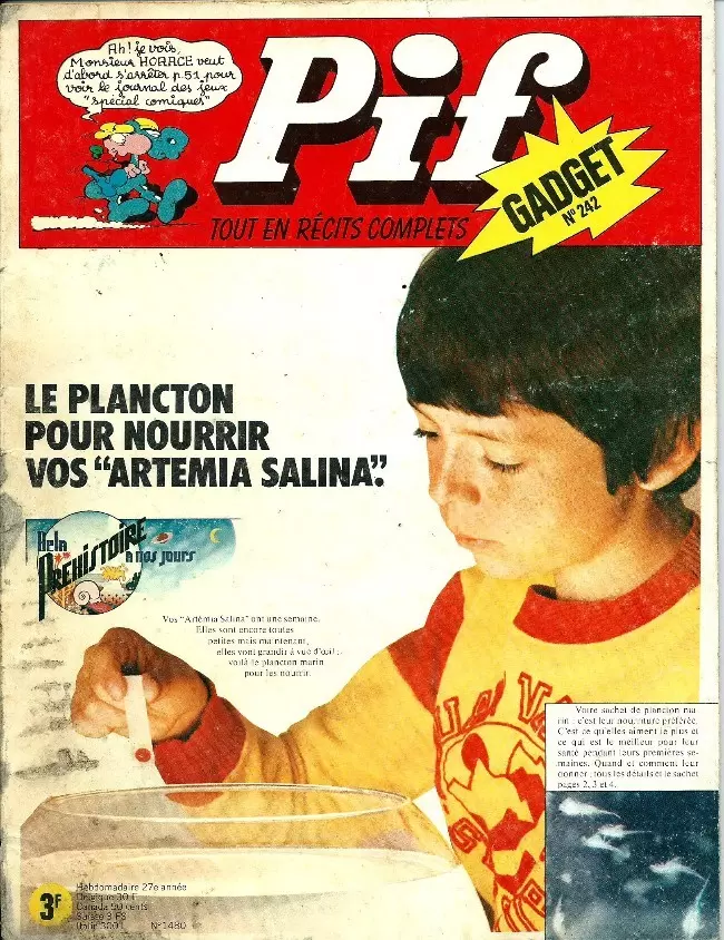 Pif Gadget (Première série) - Pif Gadget N°242