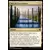 Commander 2017 - Voie de l\'Ascendance