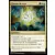 Commander 2018 - Charme de Bant
