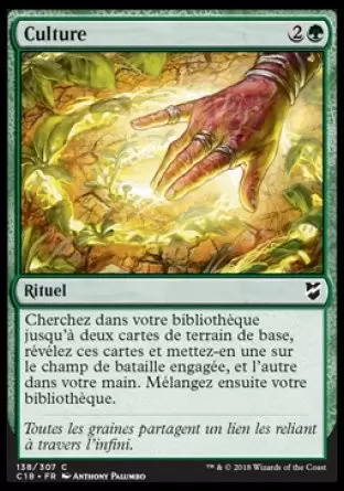 Commander 2018 - Culture