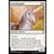 Commander 2018 - Licorne loyale