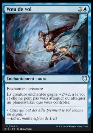 Commander 2018 - Voeu de vol