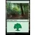 Forêt