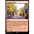 Commander Anthology Vol. II - Village sangpyre