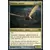 Conflux - Magister sphinx