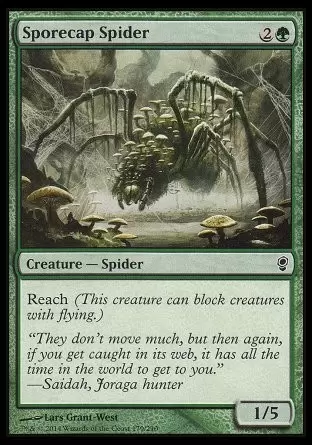 Conspiracy - Araignée sporophore
