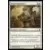 Frappesoleil d'Ajani