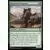 Borderland Explorer