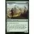 Voyaging Satyr