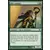 Eclats d\'Alara - Elfe cyliane