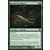 Eclats d\'Alara - Gavial des algues