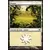 Eclats d\'Alara - Plaine