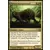 Eclats d\'Alara - Thrinax bourgeonnant