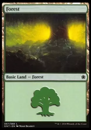 Game Night - Forêt