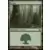 Garruk vs. Liliana - Forêt