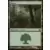 Forêt