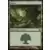 Garruk vs. Liliana - Forêt