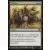 Garruk vs. Liliana - Mutilation
