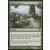Garruk vs. Liliana - Sapience naturaliste