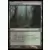 Jace vs. Vraska - Bois souillé