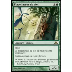 Flagellateur de ciel