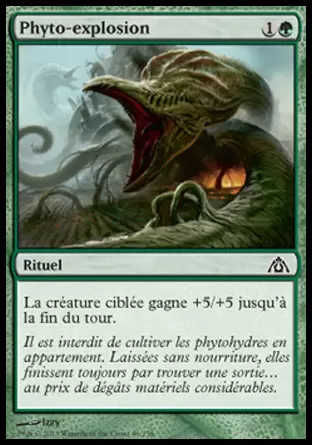 Le Labyrinthe du Dragon - Phyto-explosion