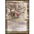 Legends - Bartel Runeaxe