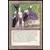 Marble Priest