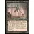 Shimian Night Stalker