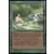 Sylvan Paradise