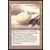 Triassic Egg